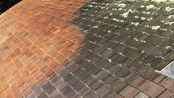 roof before and after cleaning