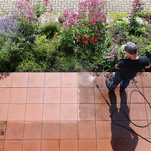 professional cleaning concrete around plants